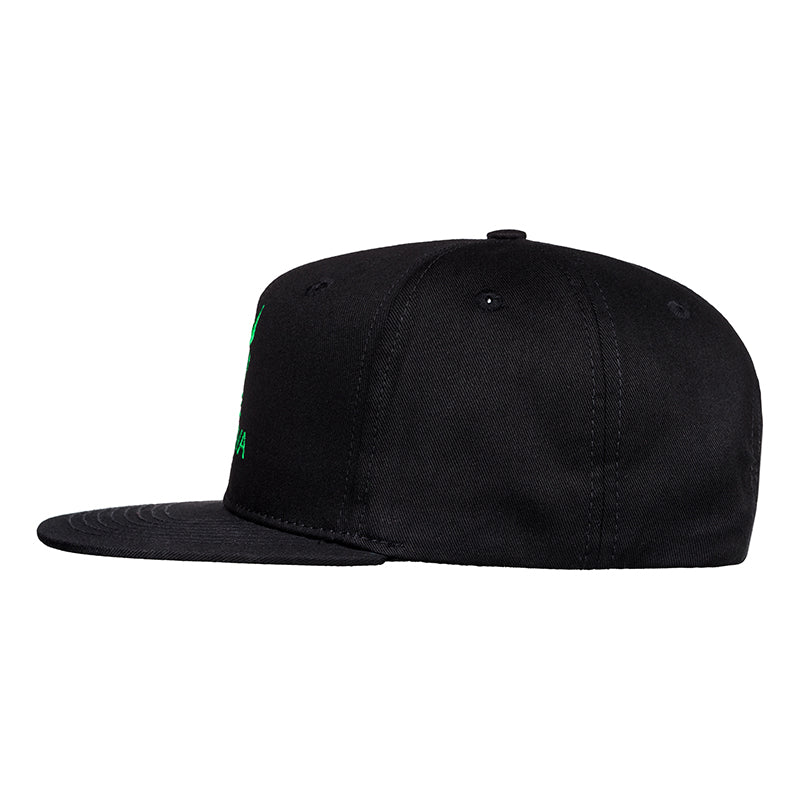 CORPOCROWNHATBLACK/GREENLOGO